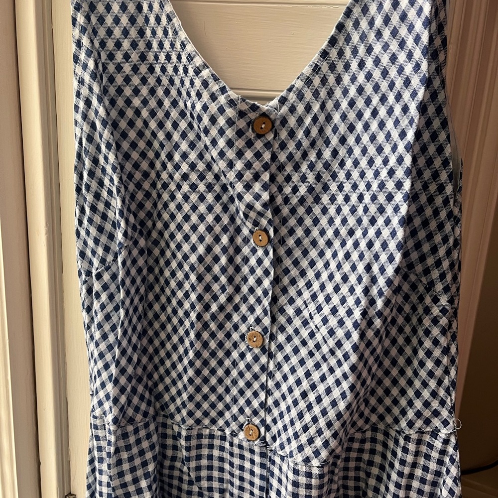 Blue and White Gingham Button-Front Dress